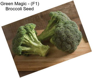 Green Magic - (F1) Broccoli Seed