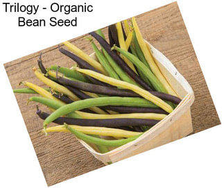 Trilogy - Organic Bean Seed