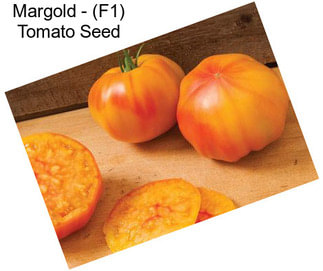 Margold - (F1) Tomato Seed