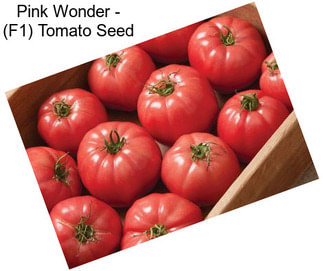 Pink Wonder - (F1) Tomato Seed