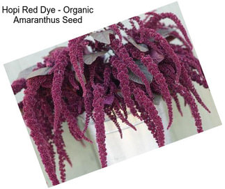 Hopi Red Dye - Organic Amaranthus Seed