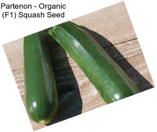 Partenon - Organic (F1) Squash Seed