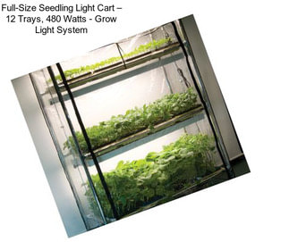 Full-Size Seedling Light Cart – 12 Trays, 480 Watts - Grow Light System
