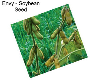 Envy - Soybean Seed