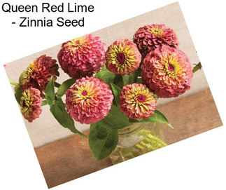 Queen Red Lime - Zinnia Seed