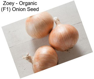 Zoey - Organic (F1) Onion Seed