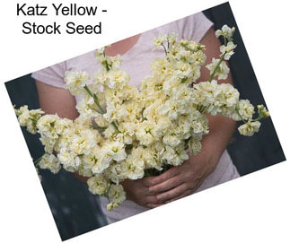 Katz Yellow - Stock Seed