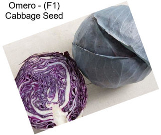 Omero - (F1) Cabbage Seed