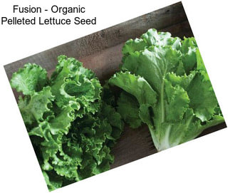 Fusion - Organic Pelleted Lettuce Seed