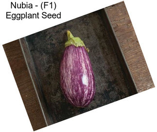 Nubia - (F1) Eggplant Seed