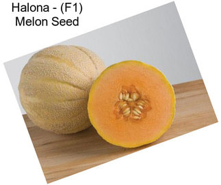 Halona - (F1) Melon Seed