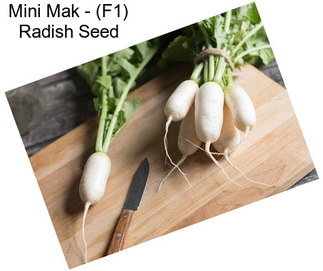 Mini Mak - (F1) Radish Seed