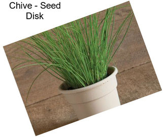 Chive - Seed Disk