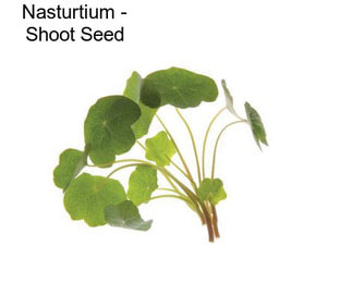Nasturtium - Shoot Seed