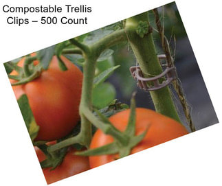 Compostable Trellis Clips – 500 Count