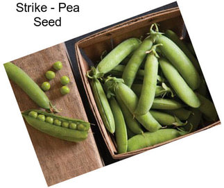 Strike - Pea Seed