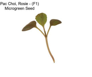 Pac Choi, Rosie - (F1) Microgreen Seed
