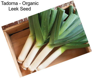 Tadorna - Organic Leek Seed