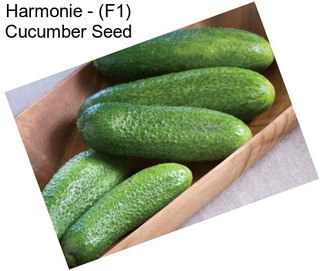 Harmonie - (F1) Cucumber Seed