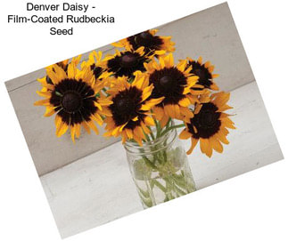 Denver Daisy - Film-Coated Rudbeckia Seed