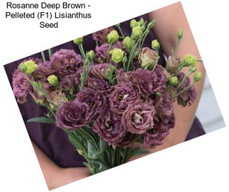 Rosanne Deep Brown - Pelleted (F1) Lisianthus Seed