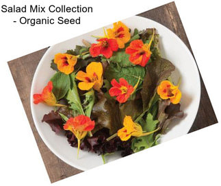 Salad Mix Collection - Organic Seed