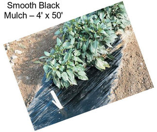 Smooth Black Mulch – 4\' x 50\'