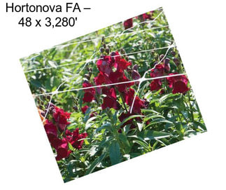 Hortonova FA – 48\