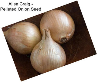 Ailsa Craig - Pelleted Onion Seed