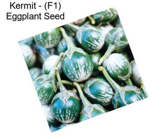 Kermit - (F1) Eggplant Seed