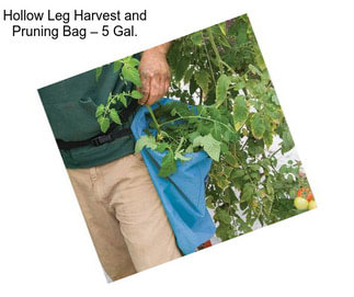 Hollow Leg Harvest and Pruning Bag – 5 Gal.