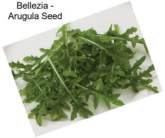 Bellezia - Arugula Seed