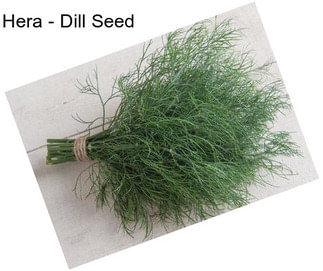 Hera - Dill Seed