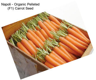 Napoli - Organic Pelleted (F1) Carrot Seed