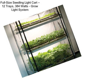 Full-Size Seedling Light Cart – 12 Trays, 384 Watts - Grow Light System