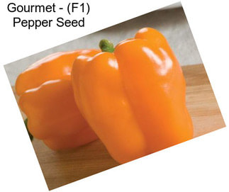 Gourmet - (F1) Pepper Seed
