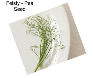Feisty - Pea Seed