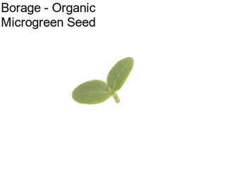 Borage - Organic Microgreen Seed