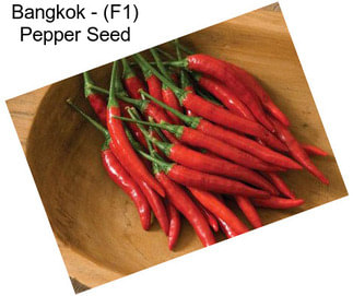 Bangkok - (F1) Pepper Seed