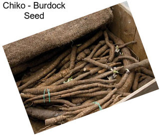 Chiko - Burdock Seed