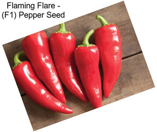 Flaming Flare - (F1) Pepper Seed