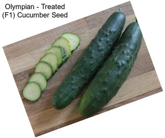 Olympian - Treated (F1) Cucumber Seed
