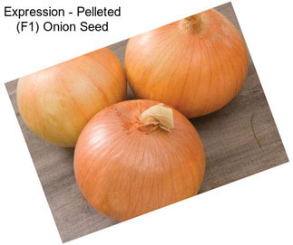 Expression - Pelleted (F1) Onion Seed