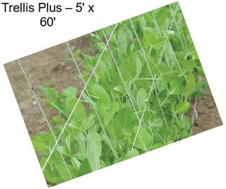 Trellis Plus – 5\' x 60\'