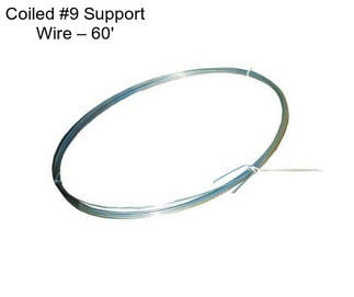 Coiled #9 Support Wire – 60\'