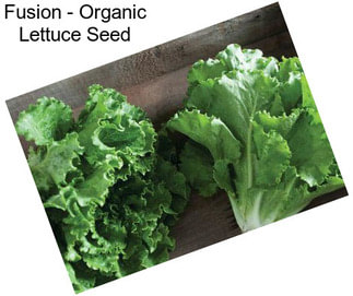 Fusion - Organic Lettuce Seed