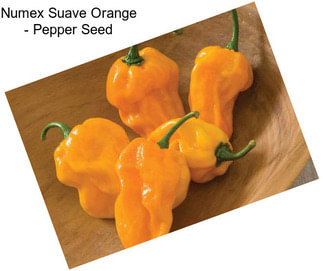 Numex Suave Orange - Pepper Seed