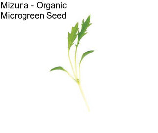 Mizuna - Organic Microgreen Seed