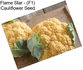 Flame Star - (F1) Cauliflower Seed