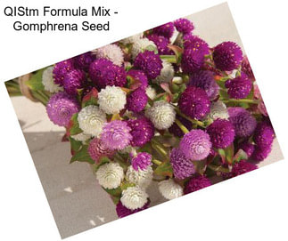 QIStm Formula Mix - Gomphrena Seed